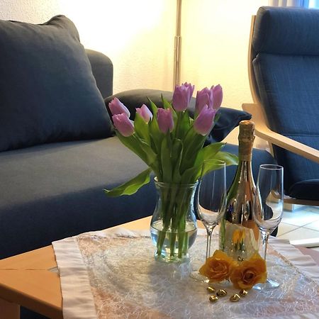 Apartmán Elbidyll Magdeburk Exteriér fotografie