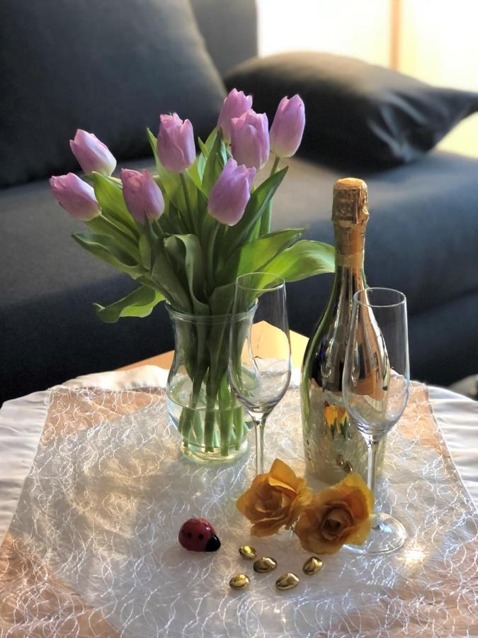Apartmán Elbidyll Magdeburk Exteriér fotografie