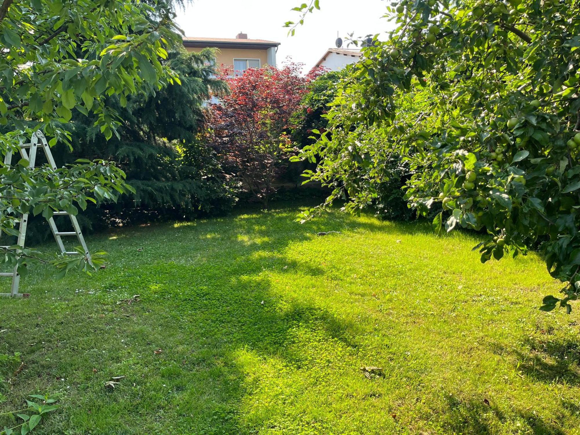 Apartmán Elbidyll Magdeburk Exteriér fotografie