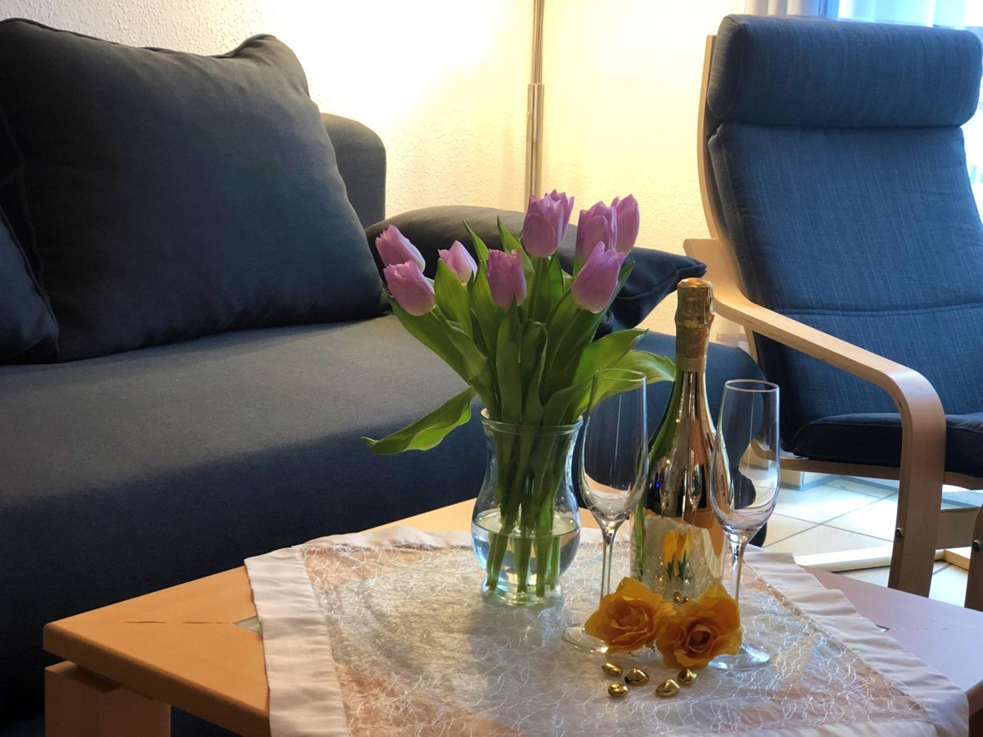 Apartmán Elbidyll Magdeburk Exteriér fotografie